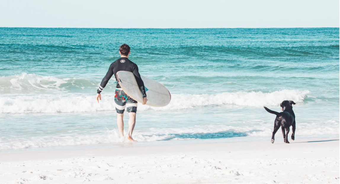 7 Remote Work Statistics you should Know