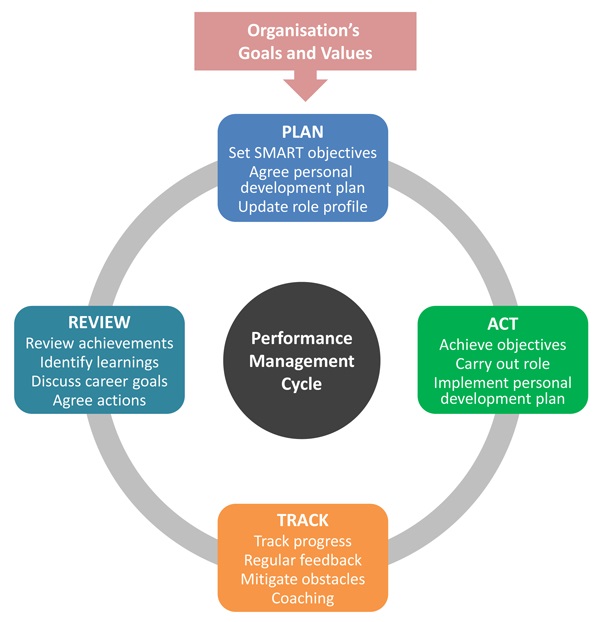 What is performance management cycle