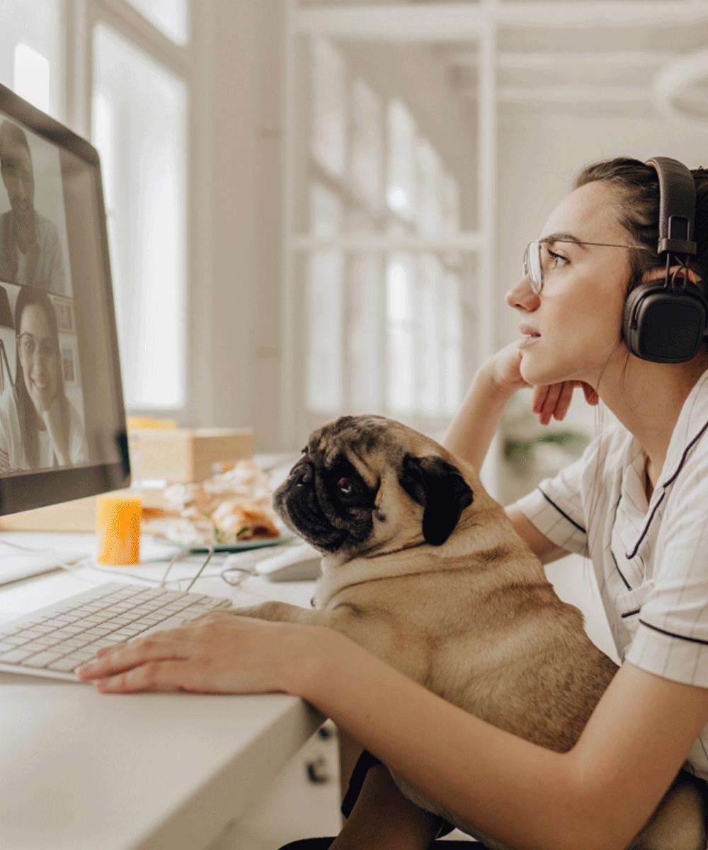 What Is Video Conferencing? RingCentral