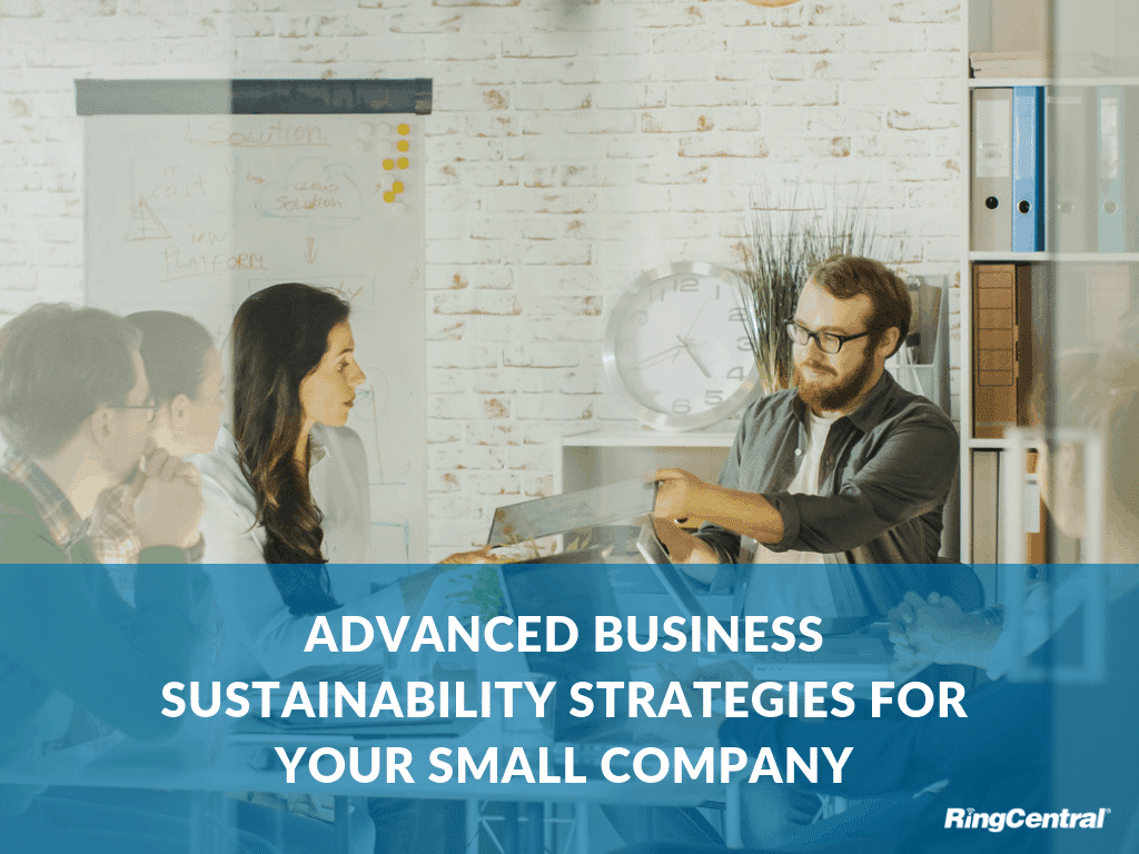 advanced-business-sustainability-strategies-for-small-companies