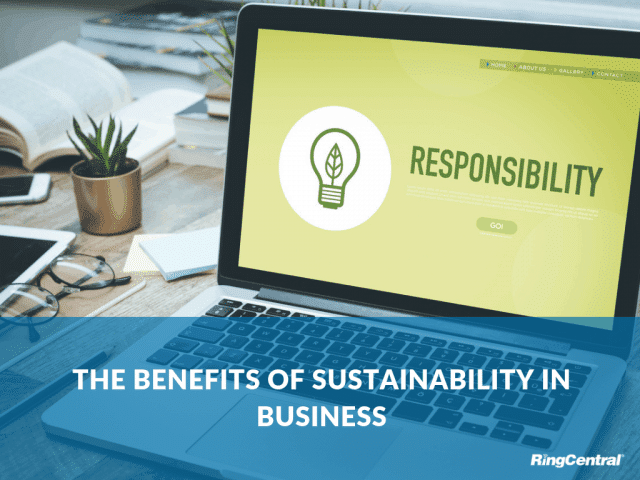 Advanced Sustainability Strategies for Your Small Business