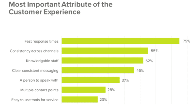 Most Important Attribute of the Customer Experience-202