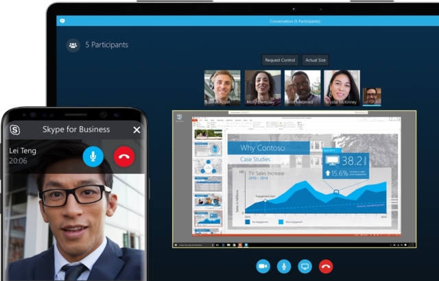 Screenshot of a video call being held over Skype