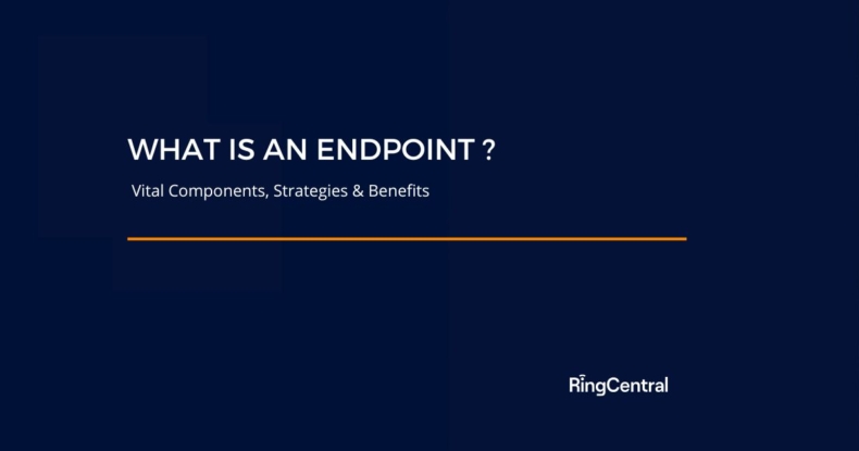 What is an endpoint
