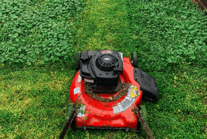 7 factors to consider before buying the perfect lawn mower