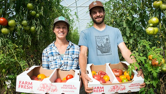 People with freshly-picked vegetables on their fruits and vegetables business.