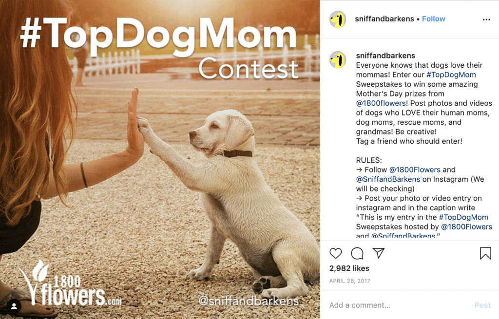 Sniff and Barkens’ #TopDogMom photo contest