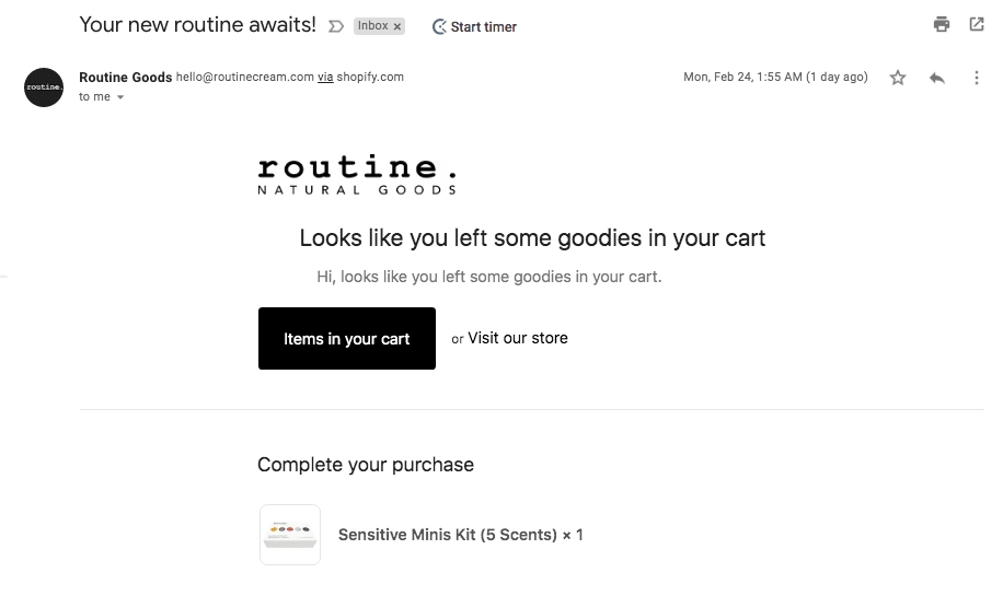 Routine's marketing communication email for cart abandonment