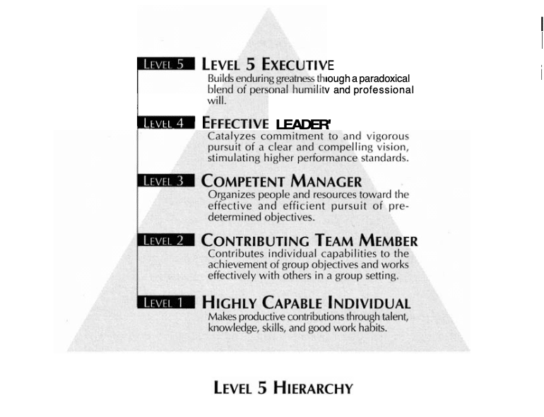 Level 5 Hierarchy