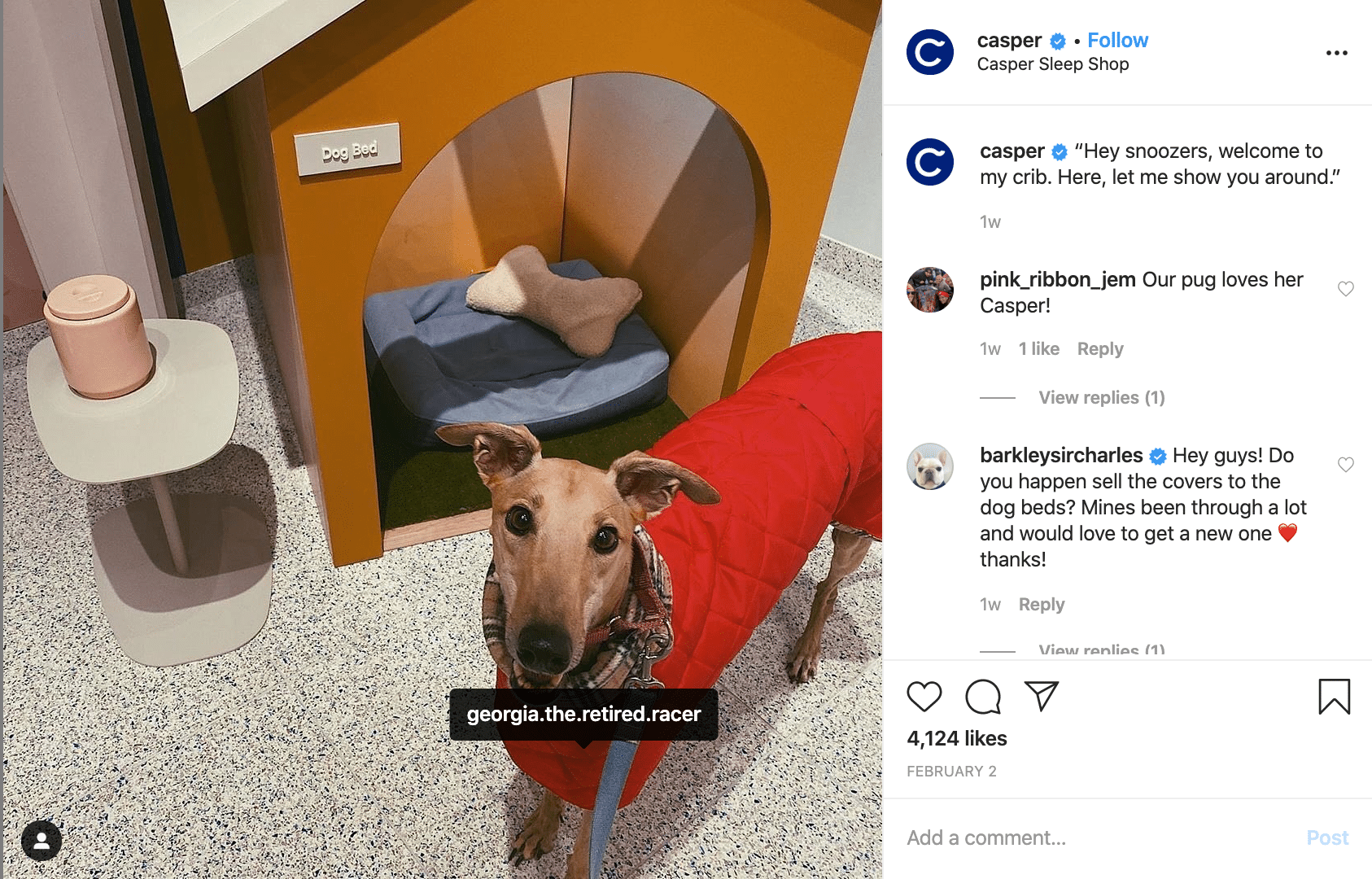 Casper's Instagram Feed