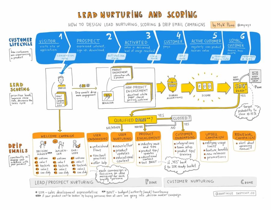 lead nurturing and scoring