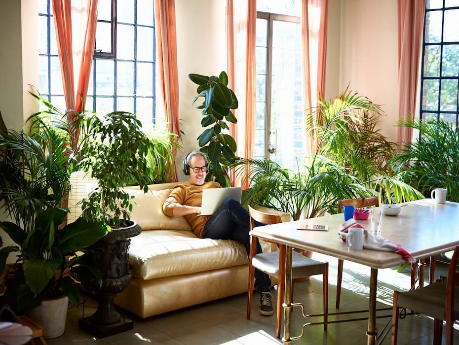 Man sitting in a home filled with plants and sun engaging in virtual collaboration with remote colleagues.