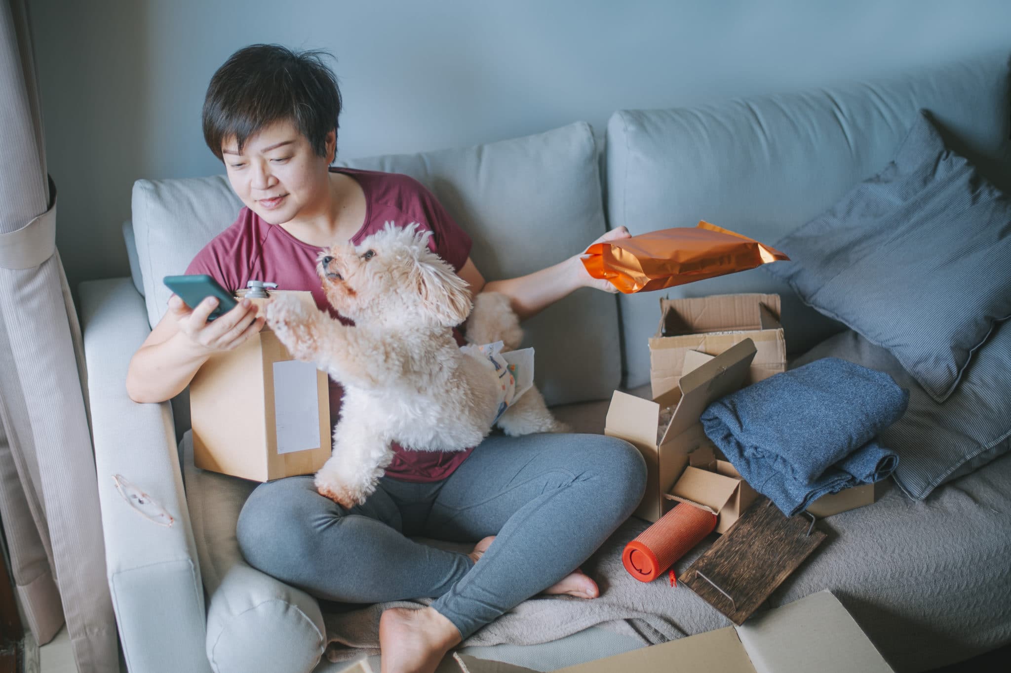 person on the couch with their online shopping orders and dog checking their phone